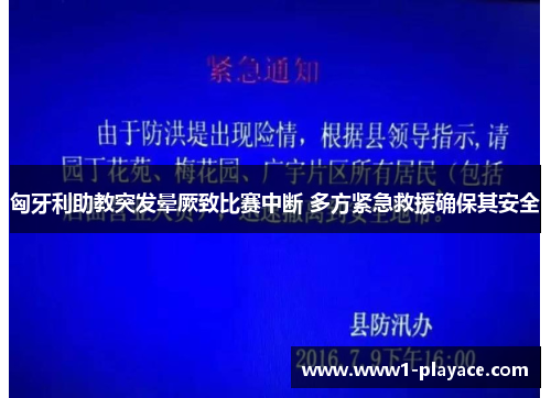 匈牙利助教突发晕厥致比赛中断 多方紧急救援确保其安全